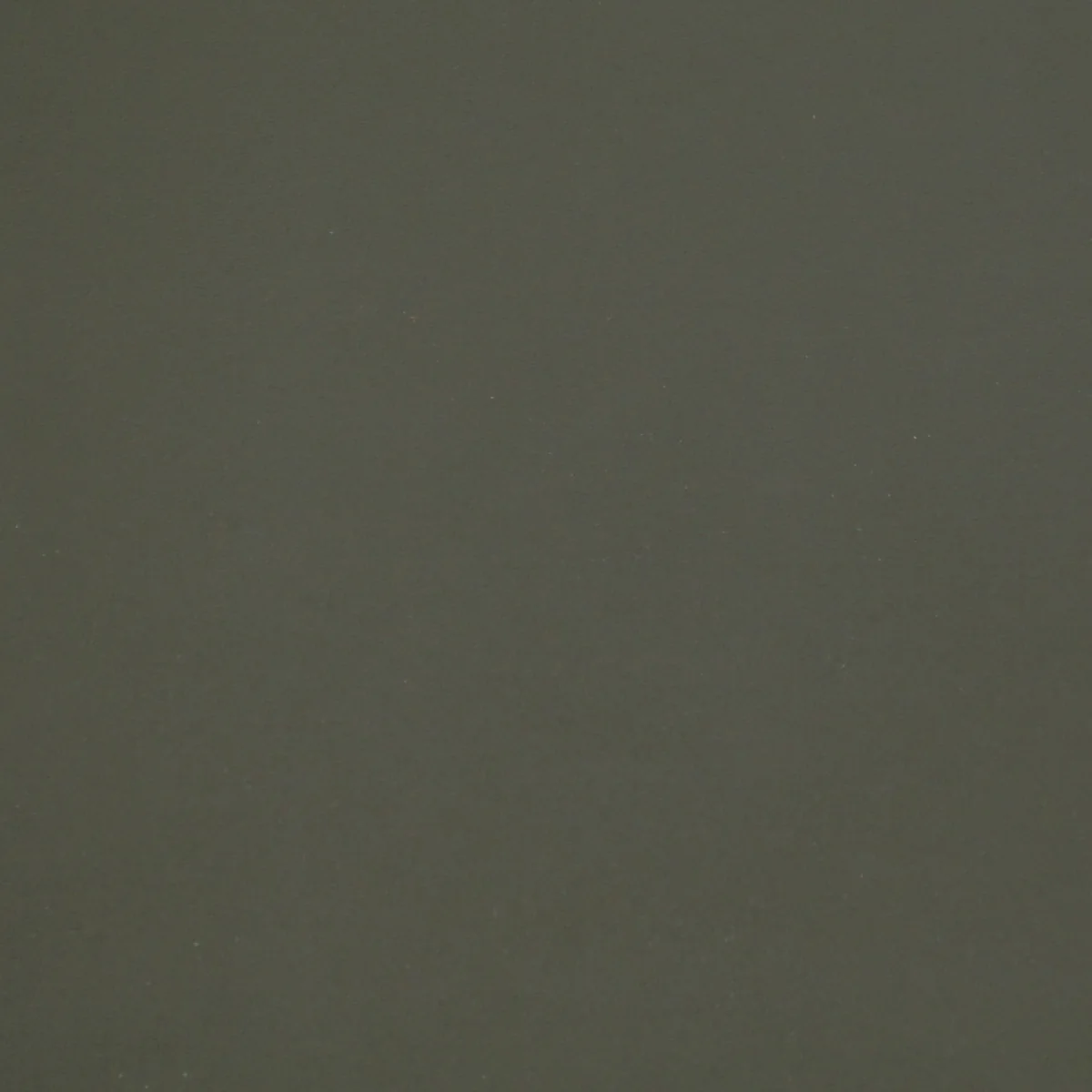 Kydex Platte Olive Drab OD